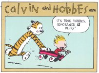 Ignorance is Bliss 1 quarter.jpg