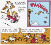 Ignorance is Bliss 4 quarter calvin and hobbes cartoon.jpg