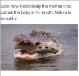IMG_1097.jpeg