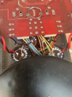 IMG_9927.jpeg