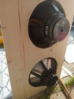 IMG_20230827_164339.jpg