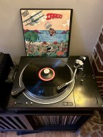 IMG_0803.jpeg