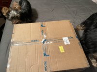 IMG_0989.jpeg