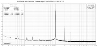 SJEP120R100 Cascoded Follower Right Channel DIY2022FE 8R 1W.jpg