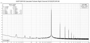 SJEP120R100 Cascoded Follower Right Channel DIY2022FE 8R 5W.jpg