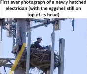 IMG_1134.jpeg