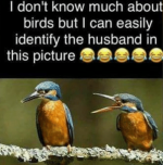 husband.png