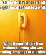 IMG_1146.jpeg