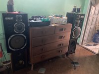 IMG_2447.jpeg