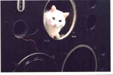 bianco.jpg