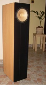 06.jpg