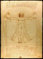 da_vinci_vitruve_luc_viatour.jpg