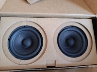 1694917412930 (1).jpg