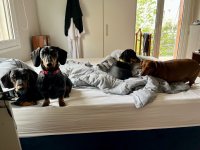 IMG_9084.jpeg