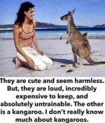 IMG_1162.jpeg