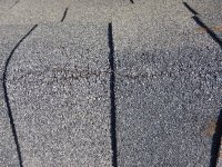 DSCN4628.jpg
