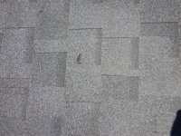DSCN4634.jpg