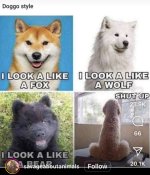 IMG_1168.jpeg