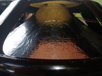IMG_20230926_153512.jpg