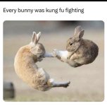 IMG_1184.jpeg