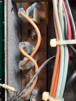 IMG_4183.jpeg