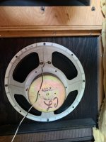 IMG_7019.jpeg