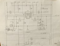 IMG_2459.jpeg