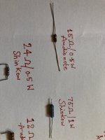 IMG_4019.JPG