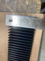 IMG_3399.jpeg