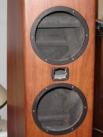 spk detail twin lining3.jpg