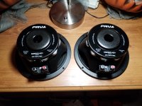 20231006_034307.jpg