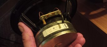 IMG_20231017_192430.jpg
