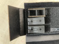 IMG_0595.jpeg