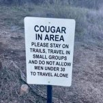 Cougar Area.JPG