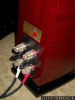 Dali H800 Terminals.jpg