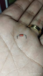 IMG_20231030_191957.jpg