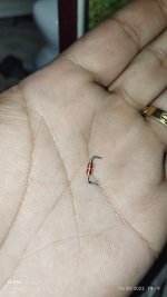 IMG_20231030_191950.jpg