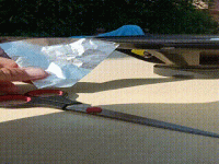 VID_20231031_093031(3).gif