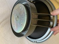 IMG_3132.jpeg IMG_3132.jpeg