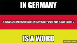 German Word.jpg
