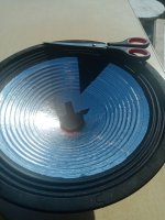 IMG_20231104_083029.jpg