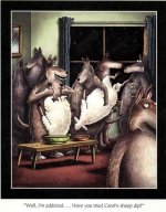 sheep dip.jpg