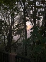 IMG_2428.jpeg