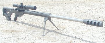 ferret50.jpg