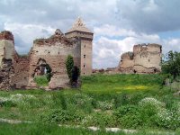 ancient-batsch.jpg