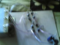 11022009.jpg