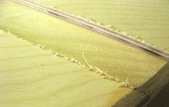 leg-cutout-detail-1.gif