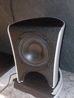 IMG_20231109_163904.jpg