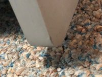 IMG_5202.jpeg