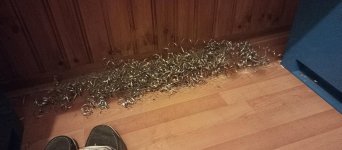 IMG_20231110_182043.jpg